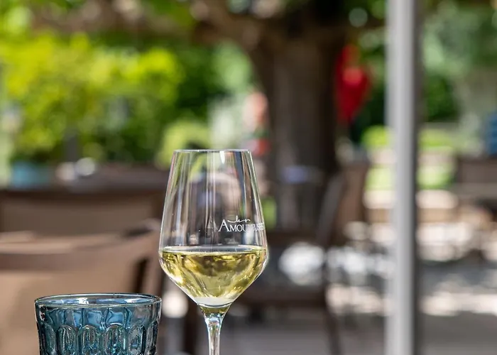 Le Domaine Du Colombier 5*